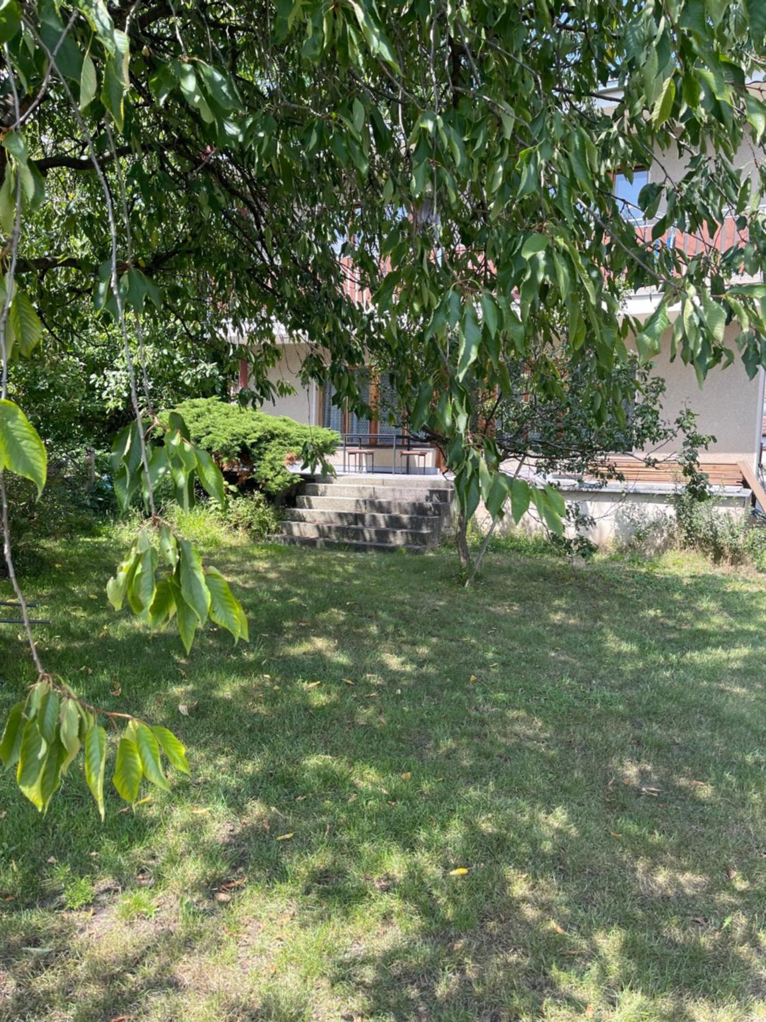 Apartment S Terasou Lysa Lysá nad Labem Eksteriør billede